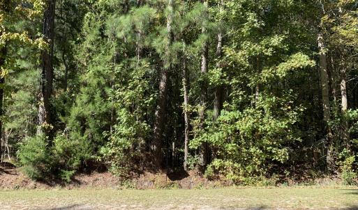 Photo #1 of Lot G Tobes, Bolivia, NC 2.8 acres