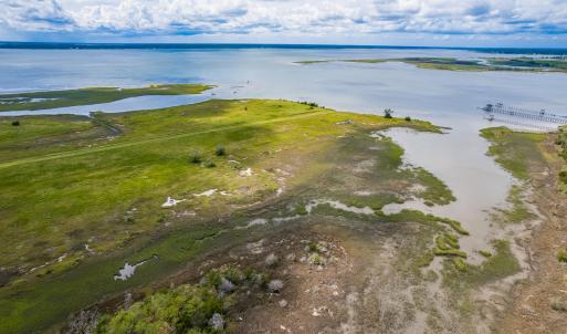 Photo #14 of 220 Blueberry Kennel, Beaufort, NC 131.7 acres