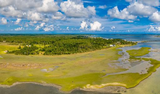 Photo #2 of 220 Blueberry Kennel, Beaufort, NC 131.7 acres