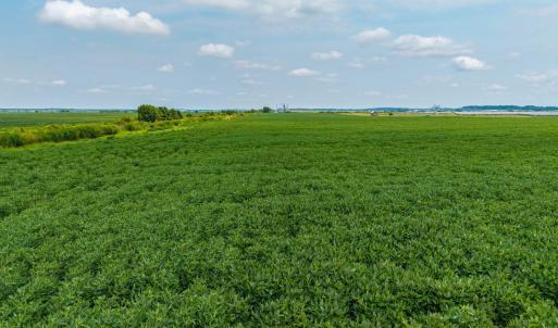 Photo #10 of Foreman Bundy, Elizabeth City, NC 20.0 acres