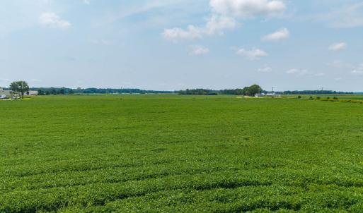 Photo #11 of Foreman Bundy, Elizabeth City, NC 20.0 acres