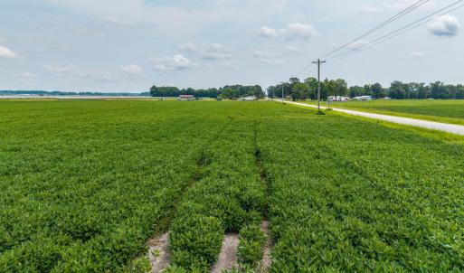 Photo #17 of Foreman Bundy, Elizabeth City, NC 20.0 acres