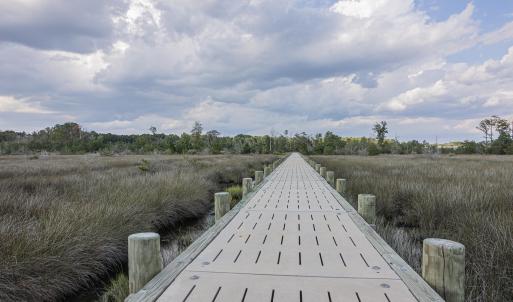Photo #4 of 144 River Bend, Stella, NC 2.3 acres