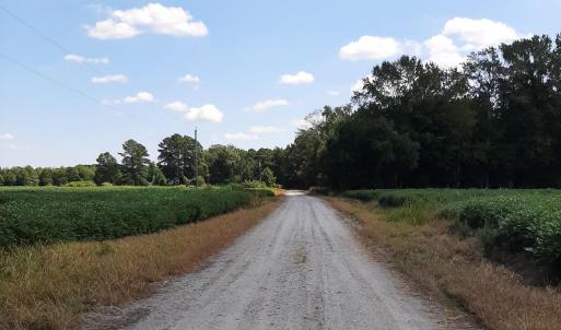 Photo #16 of Tbd Gus Town, Creswell, NC 19.3 acres