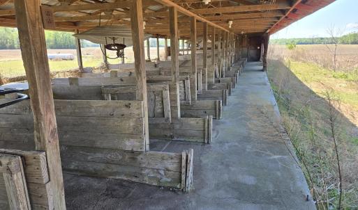 Photo #13 of Tbd Gus Town, Creswell, NC 19.3 acres