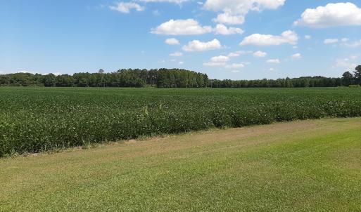 Photo #17 of Tbd Gus Town, Creswell, NC 19.3 acres
