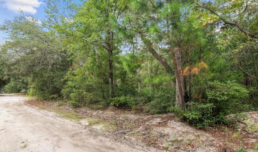 Photo #13 of 175 Boxwood, Bolivia, NC 0.6 acres