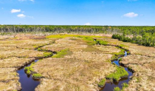 Photo #20 of 116 Mistiflower, Wilmington, NC 0.3 acres
