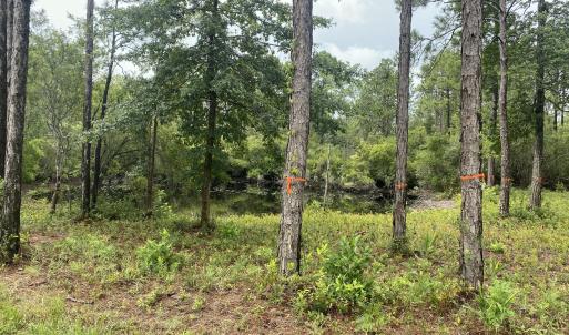Photo #1 of 120 Dixon, Boiling Spring Lakes, NC 1.0 acres