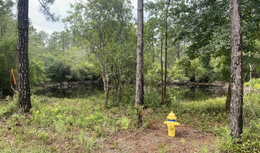Photo #2 of 120 Dixon, Boiling Spring Lakes, NC 1.0 acres