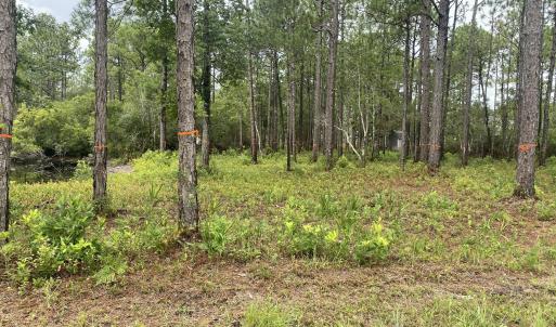 Photo #3 of 120 Dixon, Boiling Spring Lakes, NC 1.0 acres