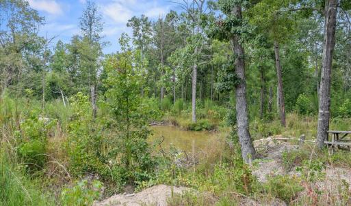 Photo #17 of 92 Sandrock, McCormick, SC 10.9 acres
