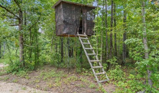 Photo #18 of 92 Sandrock, McCormick, SC 10.9 acres