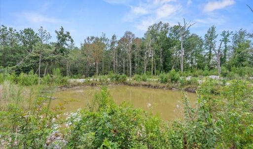 Photo #16 of 92 Sandrock, McCormick, SC 10.9 acres
