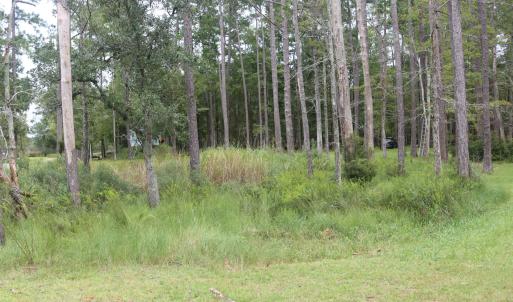 Photo #10 of 417 Mills, Oriental, NC 2.1 acres