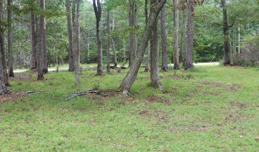 Photo #16 of 417 Mills, Oriental, NC 2.1 acres