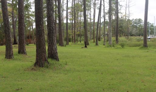 Photo #11 of 417 Mills, Oriental, NC 2.1 acres