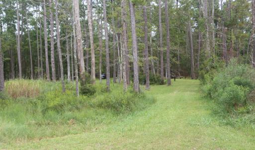 Photo #9 of 417 Mills, Oriental, NC 2.1 acres