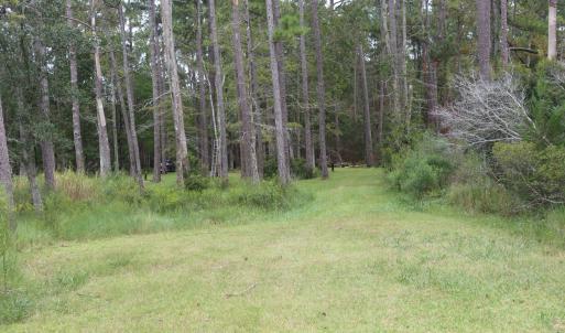 Photo #4 of 417 Mills, Oriental, NC 2.1 acres