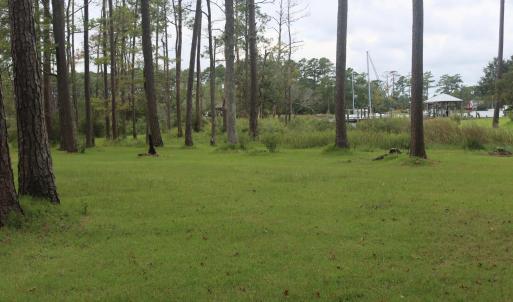Photo #8 of 417 Mills, Oriental, NC 2.1 acres