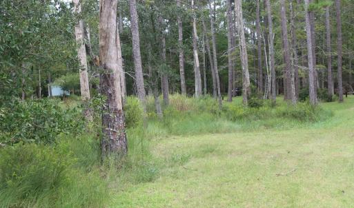 Photo #5 of 417 Mills, Oriental, NC 2.1 acres