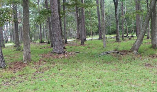 Photo #17 of 417 Mills, Oriental, NC 2.1 acres