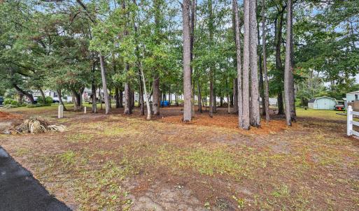 1_front lot