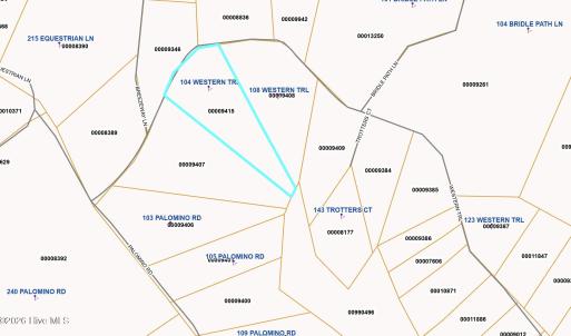 GIS View