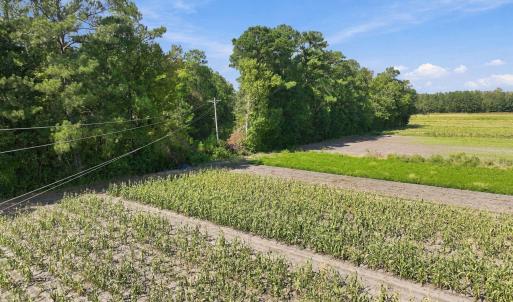 32-web-or-mls-Willis Farm rd 028