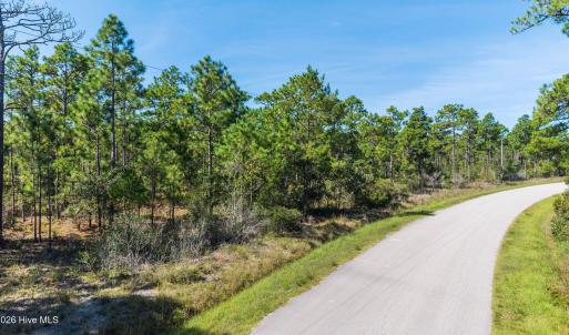 Hines Stump Sound Road