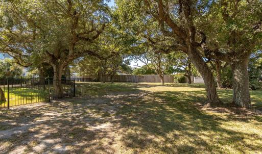 Vacant Lot in a Wooded Area