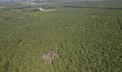 DJI_0441