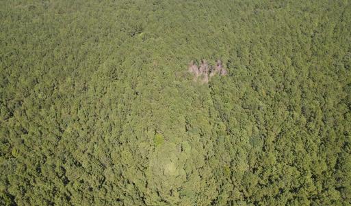 DJI_0440