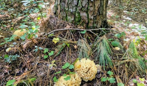 20260925_103325~2
