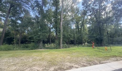 Lot 571