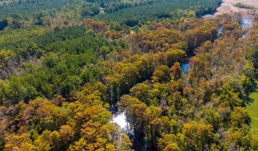 Cowell Creek