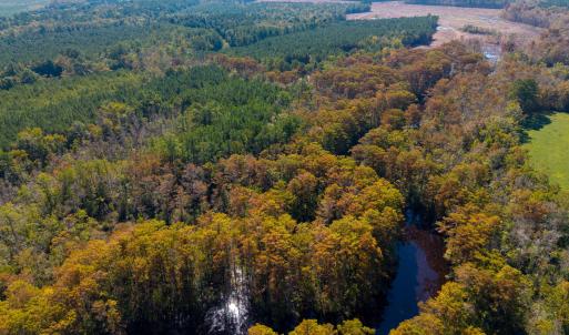 Cowell Creek