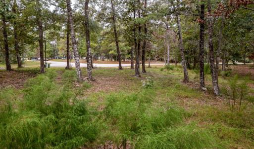 1764oysterharbour-5