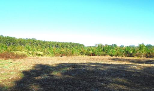 Large Cleared Home Site