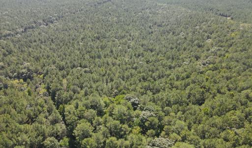 DJI_0434