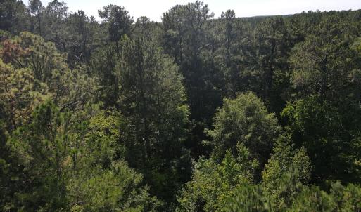 DJI_0431