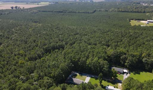 DJI_0433
