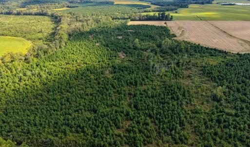 DJI_20260928171406_0058_D_pro_2500x1667
