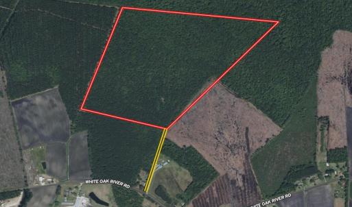 40. Boundary & Easement Image