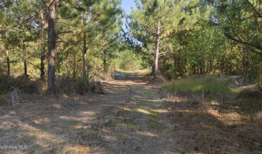 Trail