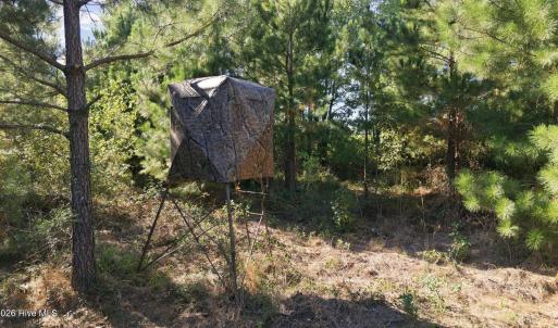 Trail 2