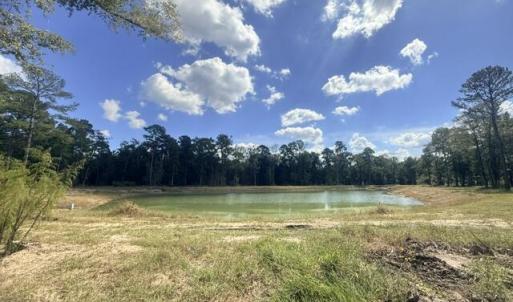 LOT 608