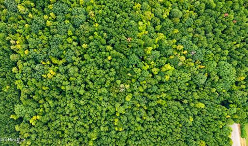 DJI_20260922115140_0266_D