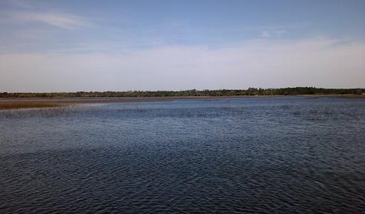 DSCF0029