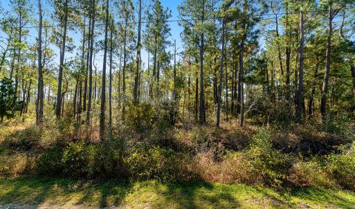 Waterfront vacant lot in Stacy